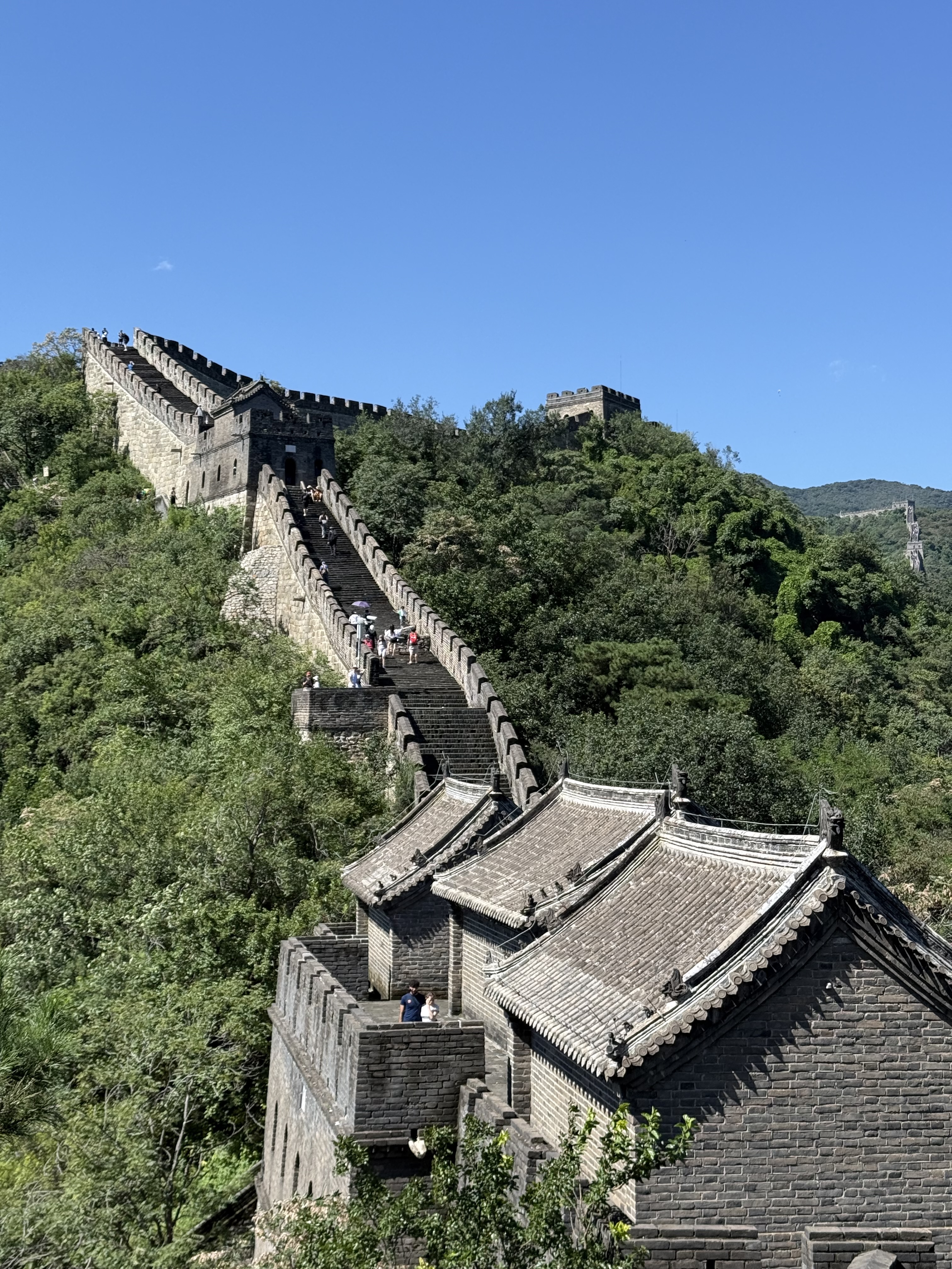 Chinesische Mauer Mutianyu - Blick entlang der Mauer mit grünen Wäldern