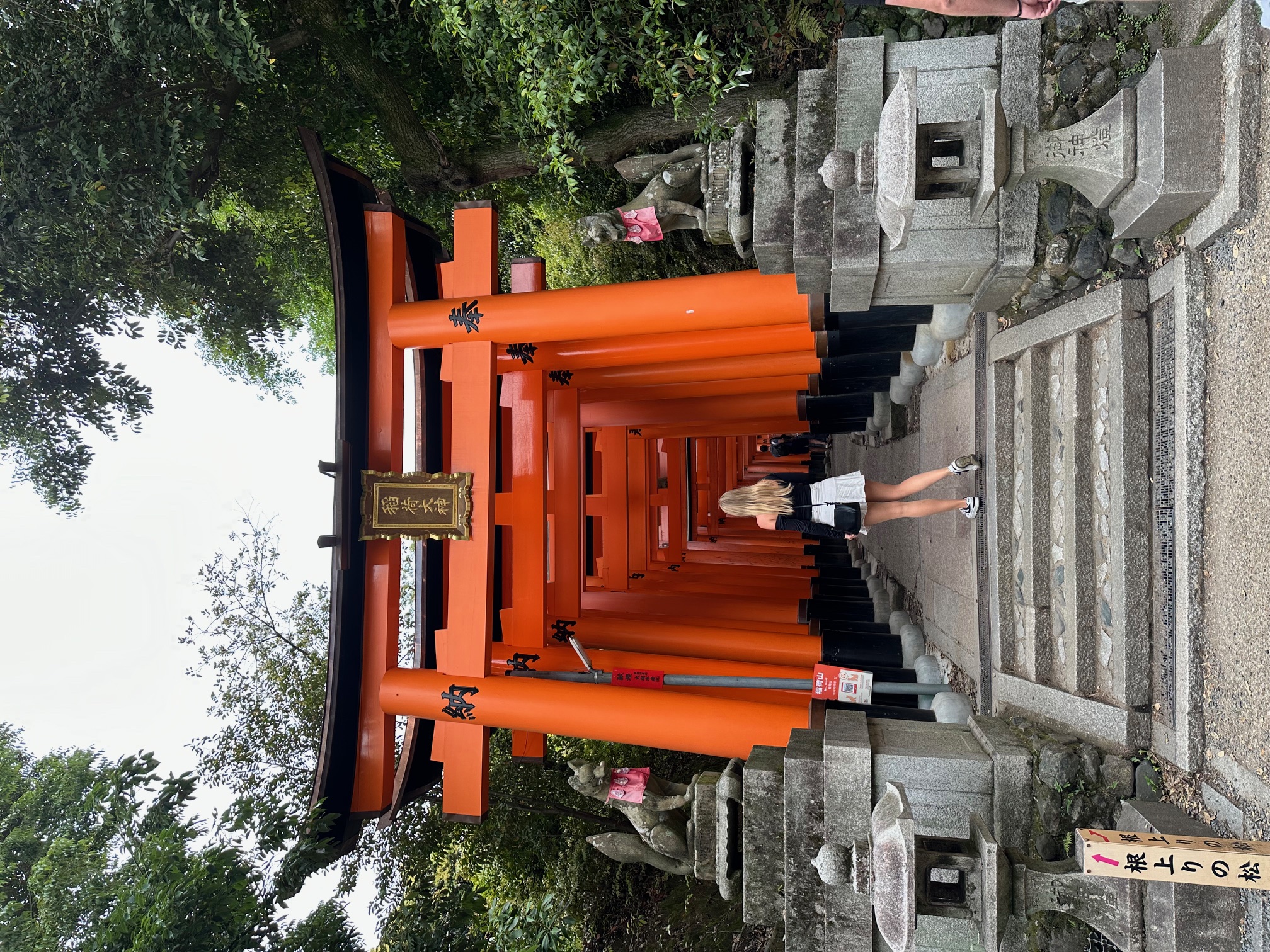 Fushimi Inari Taisha Torii-Tore - Kyoto Japan