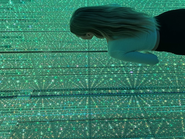 Tokio bei Nacht - Japan Rundreise