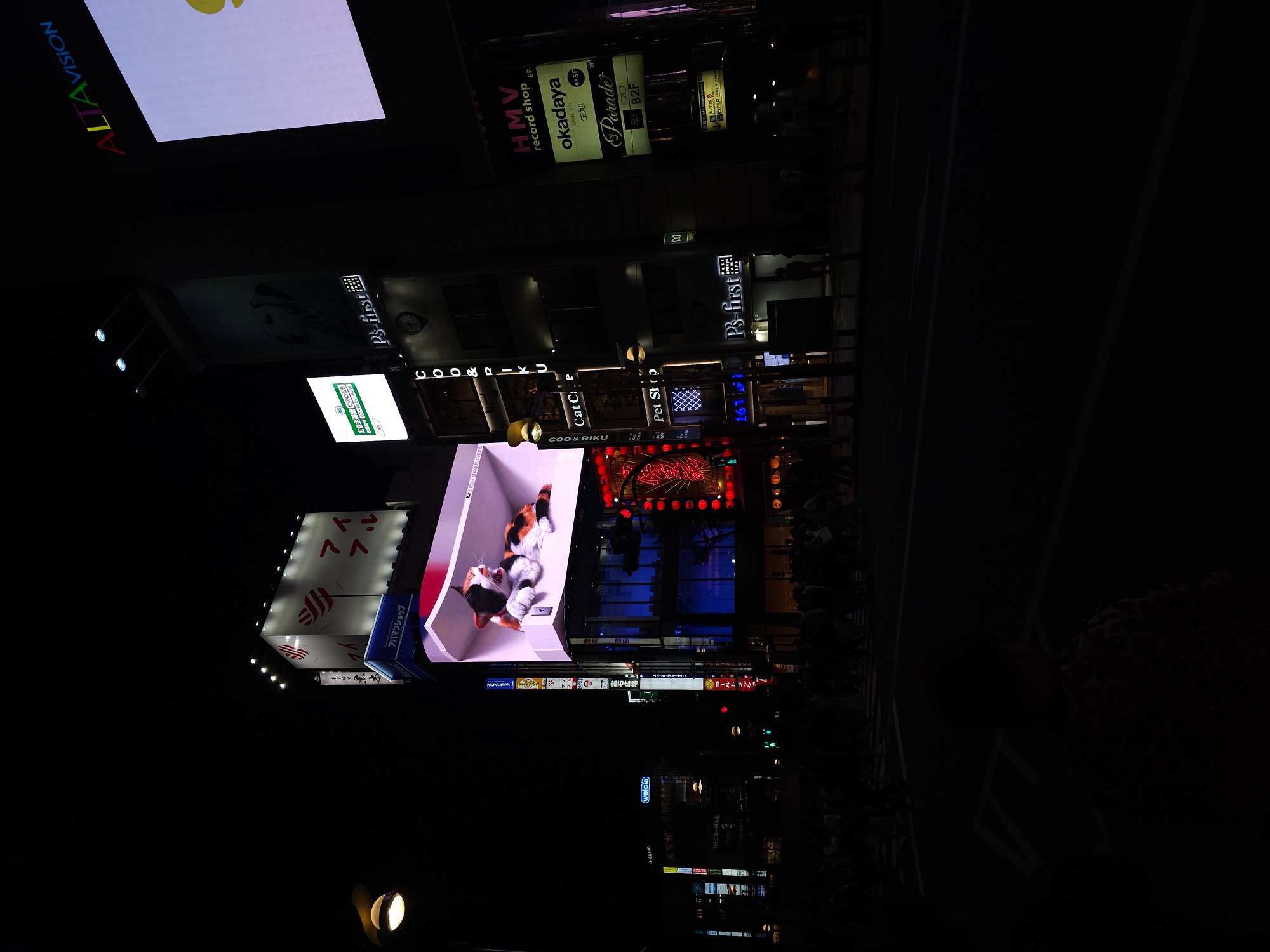 Tokio Harajuku