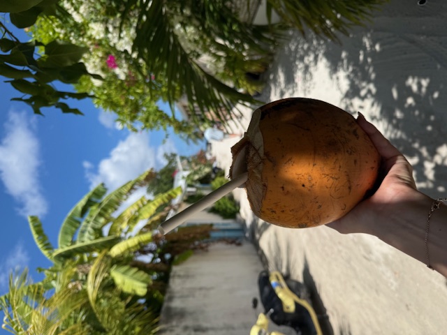 Malediven Dhigurah