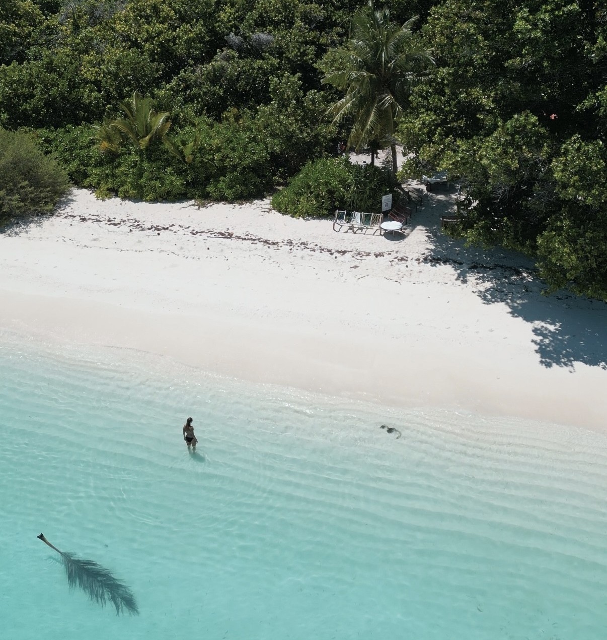 Malediven Dhigurah - türkisblaues Wasser und Sandbank