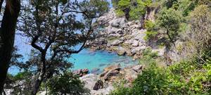 Lokrum Bucht - türkisblaues Wasser zwischen Felsen und Pinien auf der Insel Lokrum