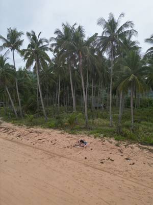 El Nido Philippinen