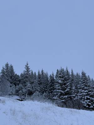 Golden Circle Island – Þingvellir Nationalpark