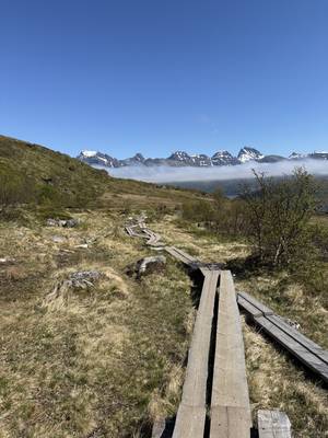 Lofoten - Berge und Fjorde