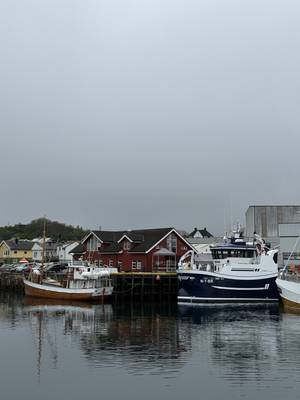 Henningsvær - Hafen mit Fischerbooten, Lofoten