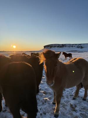Blaue Lagune Island – Abschlusstag