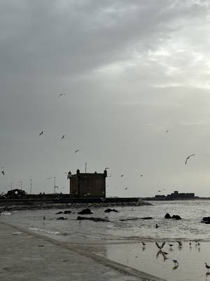 Essaouira Hafenmauer Marokko