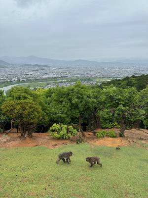 Kyoto – Japan Rundreise