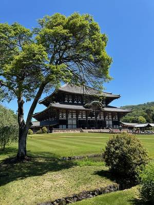 Nara – Japan Rundreise