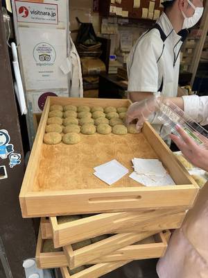 Nara – Japan Rundreise