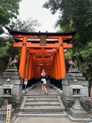 Fushimi Inari Taisha Torii-Tore – Kyoto Japan