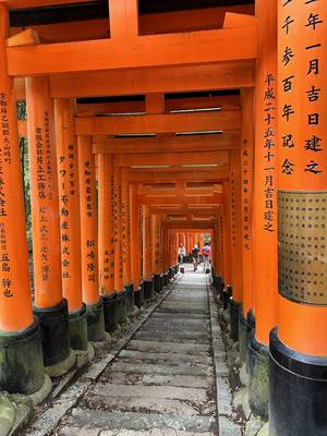 Fushimi Inari – Kyoto Japan Rundreise