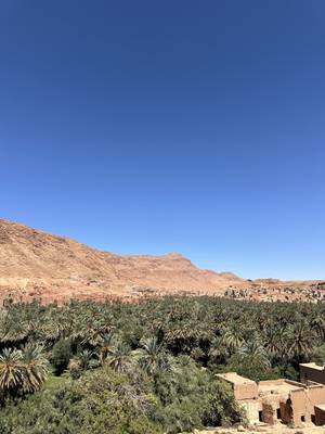 Sahara Kamelreiten Marokko