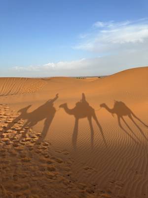 Sahara Dünen Merzouga Marokko Sonnenaufgang