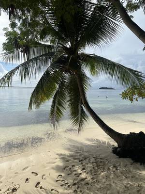 Siargao Natur Philippinen