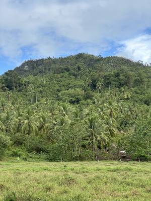 Sugba Lagoon Siargao Philippinen