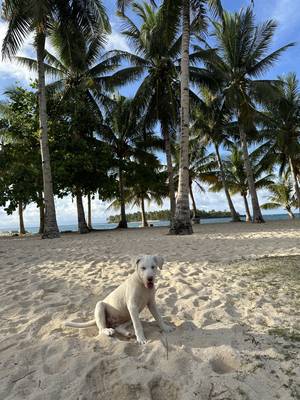 Siargao Insel Philippinen