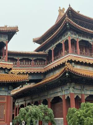 Peking Hutong - traditionelle Gässchen und lokale Atmosphäre der chinesischen Hauptstadt