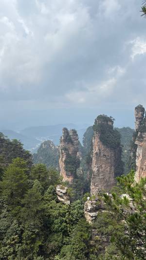Zhangjiajie - Felssäulen und Nebel