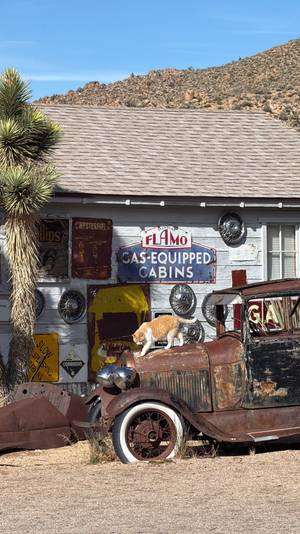 Route 66 Seligman - Historic Route