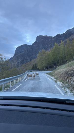 Flåm - Fjordlandschaft Norwegen