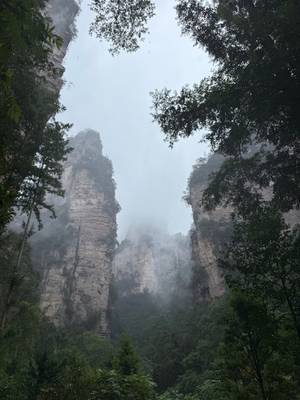 Zhangjiajie – Golden Whip Stream Tal