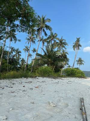 Mehrtägige Bootstour Palawan Philippinen
