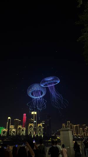 Chongqing Neonlichter – Megacity China