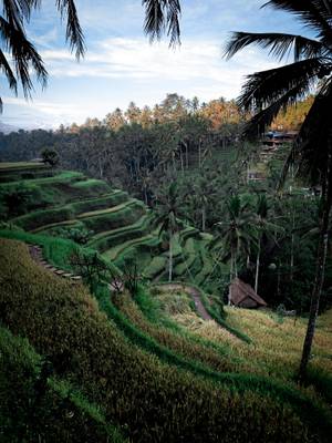 Indonesien