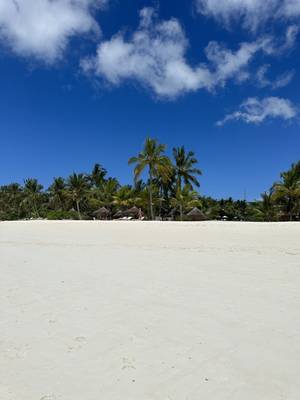 Sansibar - Weißer Strand und türkisblaues Wasser